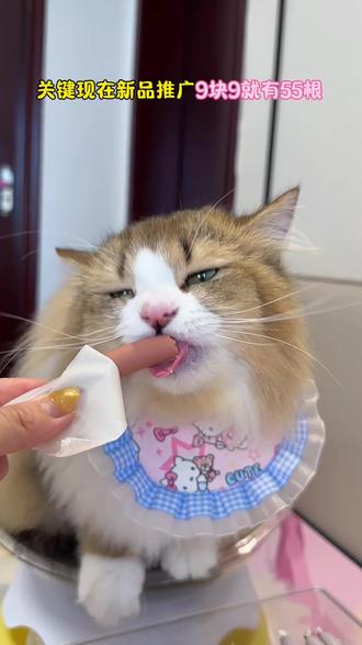 猫猫狗狗都爱吃的鸭肉鳕鱼火腿肠现在新品巨划算#宠物火腿肠#猫咪好物#猫狗零食 #新手养猫