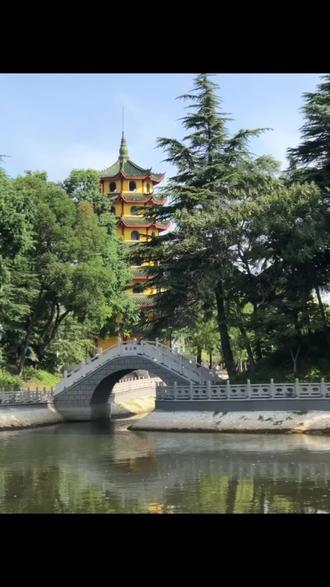 中国花木之乡一江苏沭阳#