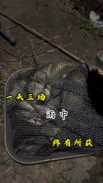 早出晚归,就为了这感觉。 #钓鱼 #夜钓野钓 #户外 #户外的快乐碎片 #人间观察计划