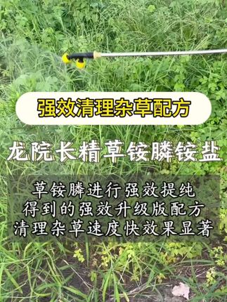 #精草铵膦铵盐果园茶园除草 #果园除草 #除草 #果园茶园开荒除草不伤果树#除草剂
