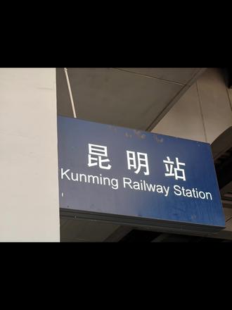 出来玩了 2026.5.27 昆明:斗南花市、官渡古镇。#斗南花市#官渡古镇