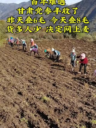 党参 #甘肃党参 #党参泡水、煲汤都不错 #新农人计划 #抖音助农扶农