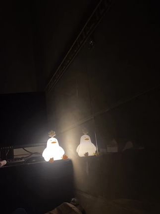 黑夜守护者#怕黑的女人