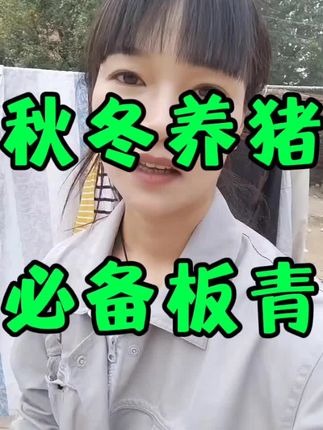 秋冬养猪。必须备上板清#三农#自繁自养