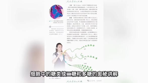 高中生物学细胞中的二糖多糖。