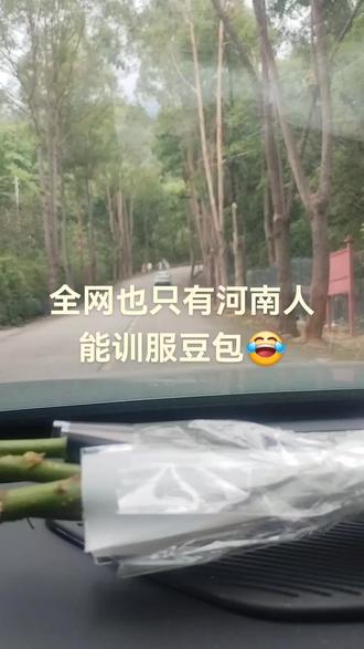 豆包今天碰到河南人也算是碰到老师了!#豆包 #Al #户外 #五一 #爬山