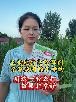 玉米地除草剂,第一次除草失败,二次除草怎样进行#玉米种植 #玉米二次除草 #传播农业种植小知识