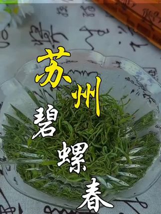 这款碧螺春千万别轻易尝试,我怕你会爱上它! #今天你喝茶了吗 #好物推荐🔥 #召唤茶友 #爱喝茶的关注我 #绿茶