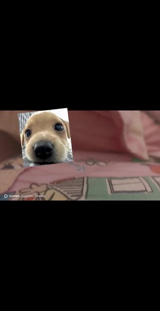 叫我起床之后,突发奇想要给我剪指甲,怎么这么可爱呀~#弟弟的迷惑行为