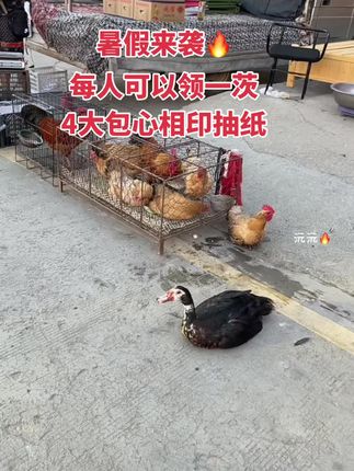 家ྀ人们!博的小姨ྀ姨们!駃駃駃!心相印抽纸老板来为莘莘学子们加油咯!每个人可以领一茨,这个价到手四大包抽纸,刷到就赶紧薅#心相印 #新人福利第一单#无限回购的宝藏单品 #抽纸#超便宜超划算