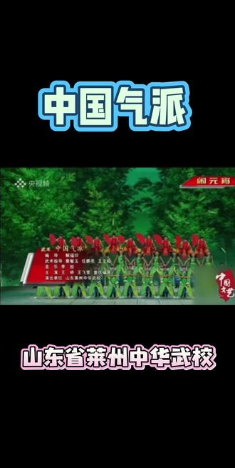 #央视武术创意节目《中国气派 》#山东省莱州中华武校