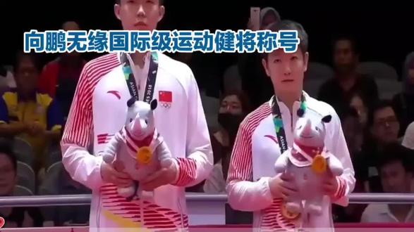 #上热门 中国乒协公示获得国际级运动健將称号运动员名单,向鹏无缘其中#乒乓球 #中国乒协 #运动健将 @