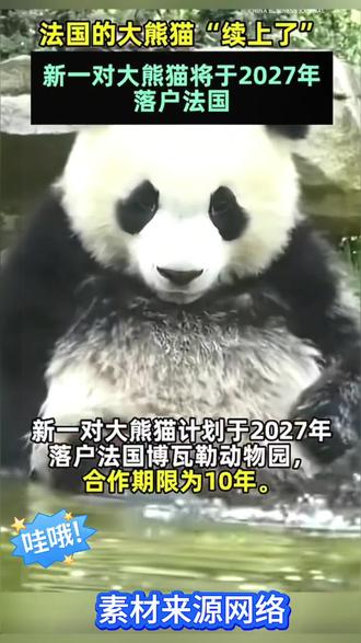 大熊猫落户法国#友好合作 #不可思议的一幕