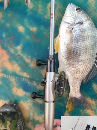 排钓,船钓,岸钓筏竿#微铅碳素竿