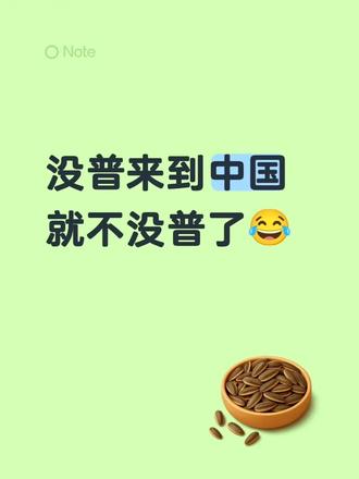 说这句话的网友就是我本人😏
