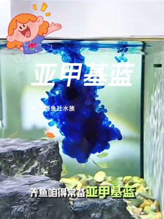 养鱼得常备亚甲基蓝,不论是新鱼检疫,还是白点水霉都用得上#亚甲基蓝 #养鱼必备