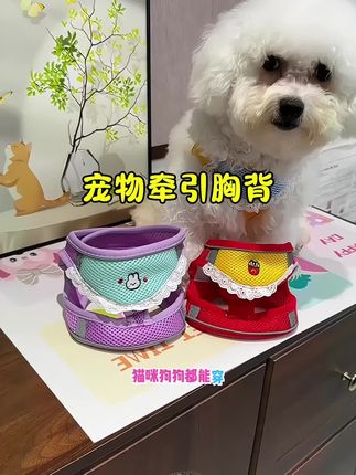 可爱又好看的宠物胸背来了,穿脱方便,有多色多款可选!#萌宠好物#宠物胸背#宠物胸背牵引绳 #狗狗牵引绳#萌宠出道计划