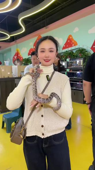 假期告别猫狗萌宠,解锁爬宠新世界!#爬宠 #盖瑞 #假期