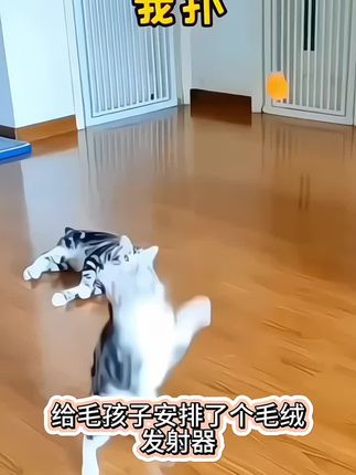 猫狗爱玩的毛绒球发射器,是一款很减压的玩具,没想到铲屎官也嗨的停不下来#这猫还是有点功夫的 #动物的迷惑行为 #萌宠搞笑 #好玩玩具推荐