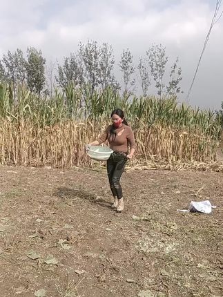 #抖音记录农村生活 #田间地头就是我的舞台 #上热门🔥上热门 #农民不易