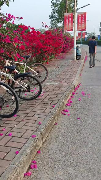 倘若我没有释怀#电影感随拍挑战