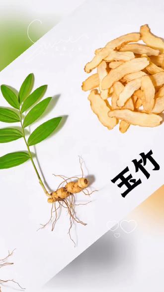 春天总觉得口干舌燥,皮肤干痒?快试试中药玉竹吧!#今日立春 #养生 #健康 #科普 #涨知识