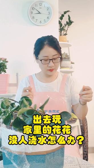 五一出去玩,家里的花浇水绝招。#绿植花卉 #爱生活爱养护 #家庭园艺养护