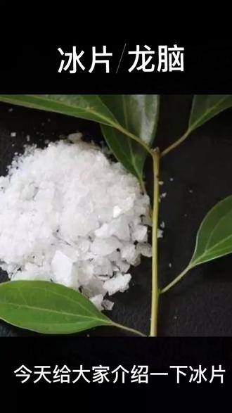 冰片(龙脑香) 冰片(龙脑香)