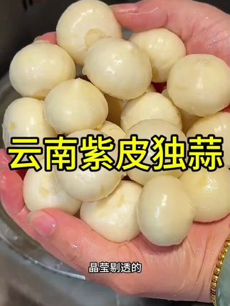 精选云南产地紫皮独头蒜,新蒜晾晒成干蒜,蒜香浓郁不呛喉,颗颗饱满无空瓣,1/2/3/5斤多规格可选,家庭食用、腌制囤货都合适。