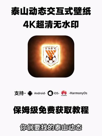 《月白精选》你们要的山东泰山交式壁纸获取教程来了#泰山队交互式壁纸 #泰山队壁纸 #泰山壁纸 #壁纸 #剪映