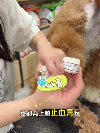 止血膏全面到货啦,宠物店和养宠家庭赶紧下单囤货吧。#宠物 #宠物店 #养宠必备 #养宠好物 #宠物美容师