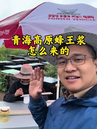 青海高原蜂王浆是什么来的?有什么用途?
