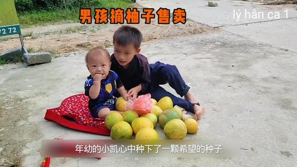 小凯心中悄悄种下一粒希望种子,希望这粒种子早日生根发芽! #农村 #越南 #纪录片 #儿童 #抖音二创激励计划