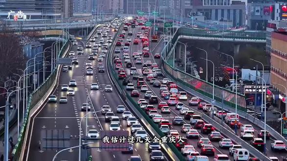2026重庆亚欧异宠博览会——大足站5月29日开启#亲子游玩好去处 #2026重庆亚欧异宠博览会 #昆虫 #昆虫世界 #爬宠 @DOU+上热门 @抖音小助手