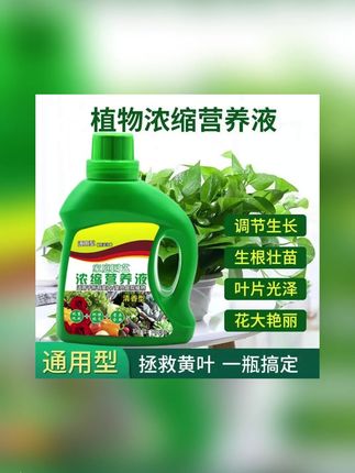 超浓缩植物营养液花肥通用化肥料家用绿植盆栽绿萝叶黄万能富贵竹#植物营养液 #植物营养液推荐 #营养液 #营养液推荐 #花肥