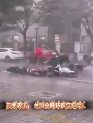 台风来的时候,猪都会飞起来。所以,真的飞起来时一定要清楚地知道是因为自己能飞,还是外力使然。靠台风飞起来的猪迟早是会掉下来的 ?