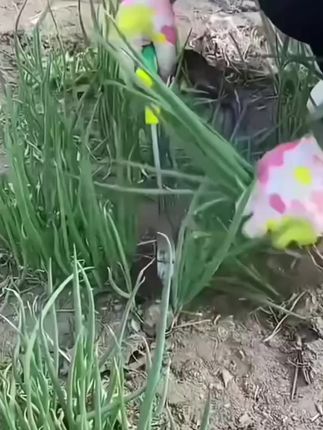 挖荠菜挖蒜铲子,园艺种花铁铲种菜除草挖土#挖野菜小铲子#挖蒜铲子#种菜养花铲子#农用工具