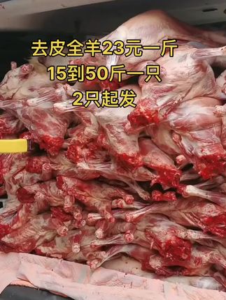 去皮全羊23元一斤，15到50斤一只，2只起发#牛羊肉批发 #全羊 #去皮全羊 #支持全国发货