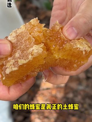 来自山区的自然生态 #土蜂蜜 #美食