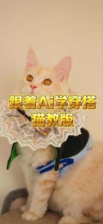 AI说啥猫穿啥--出门逛街版 #AI #豆包 #穿搭 #猫猫 #逛街