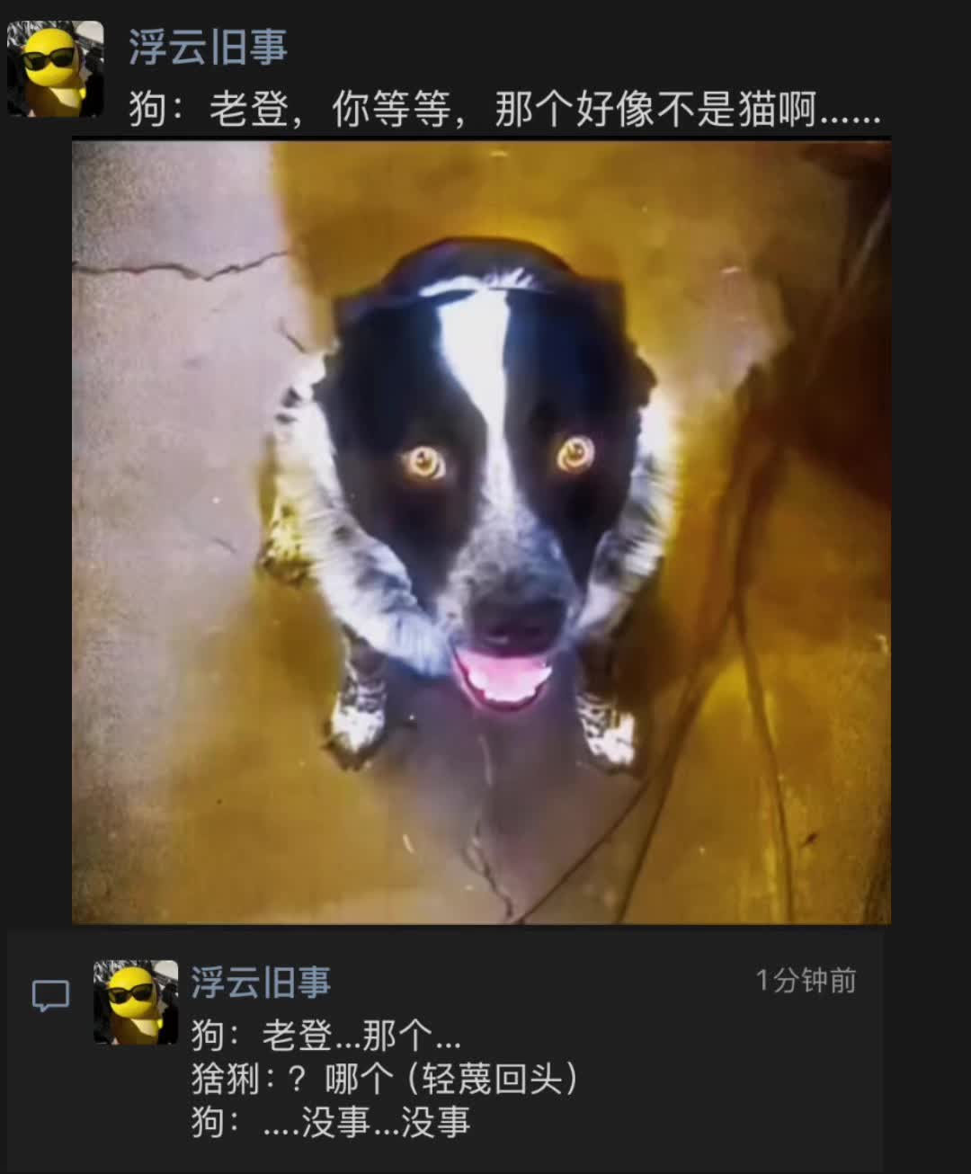 布鲁斯:老登你要不要好好看看