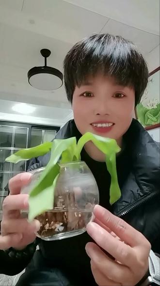 一年的期待,没失望。