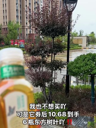 真的好喜欢喝这个东方树叶呀。清爽解腻,好喝,还健康,低卡,零卡,零糖,零脂,啥啥全是零。喝起来一点儿负担也没有。吃饭的时候喜欢搭配一瓶东方树叶。清香又清亮的茶汤,真的一整个爱住了。冰爽一下,解腻又过瘾。包装我也好喜欢呀,嗯,瓶子上画着东方茶的故事。爱啦,爱啦。#东方树叶 #东方树叶茉莉花茶#好喝不贵#超便宜超划算 #仙女都在喝什么#东方树叶#东方树叶茉莉花茶