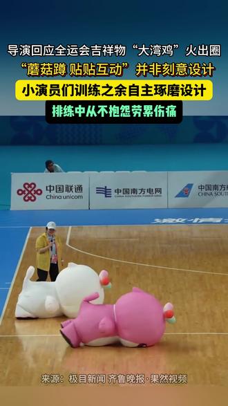 全运会吉祥物大湾鸡火出圈