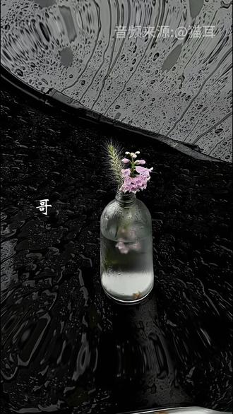 宋星阑我想给你机会#一屋暗灯 #小说 #谷子