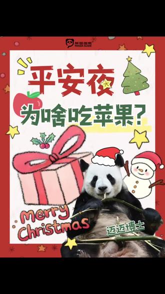 平安夜吃苹果的小秘密🍎✨#选好吃食材看熊猫指南#熊猫指南 #平安夜 #平安果 #大熊猫迈迈