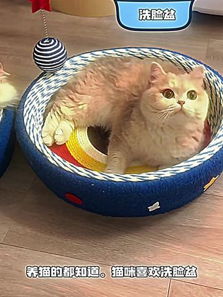 星空猫窝猫抓板一体耐磨不掉屑猫抓盆猫爪板绳编窝猫床猫咪宠物窝 #猫抓板窝 #养猫新手 #猫窝 #萌宠好物 #猫抓板