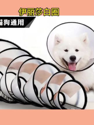 #伊丽莎白圈 伊丽莎白圈狗狗猫咪项圈脖套防舔防抓咬耻辱圈宠物头套绝育防护#防舔 #防咬 #宠物头套 #猫咪项圈