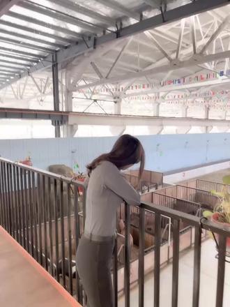 马术不是刚需,那为什么现在越来越多的家庭选择让孩子去学习马术呢?#马场日常 #vlog日常 #骑马的女人最美丽 #我们一起策马奔腾吧 #记录真实生活 #教育成长计划 #成长教育
