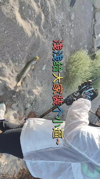 今天在希尼尔水库给大家表演了一把一杆中鱼!
#钓鱼 #路亚 #原来钓鱼才是抖音运动顶流 #路亚野钓 #简单路亚